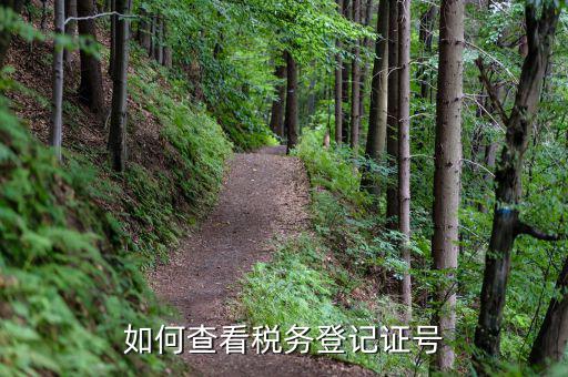 江蘇省稅務(wù)登記號如何查詢，怎么查單位的稅務(wù)登記代碼