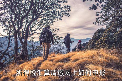清稅申請如何在云稅廳申請，網(wǎng)上企業(yè)所得稅匯算清繳如何申報