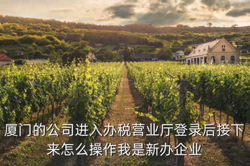 廈門公司如何辦理稅務，廈門公司如何申請一般納稅人