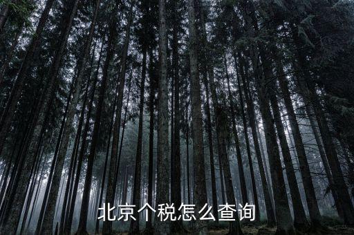 北京地稅局官網(wǎng)如何查個稅，怎么查詢最新北京個稅繳納情況
