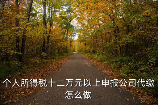 如何做好12萬元申報征收工作，個人所得稅十二萬元以上申報公司代繳怎么做