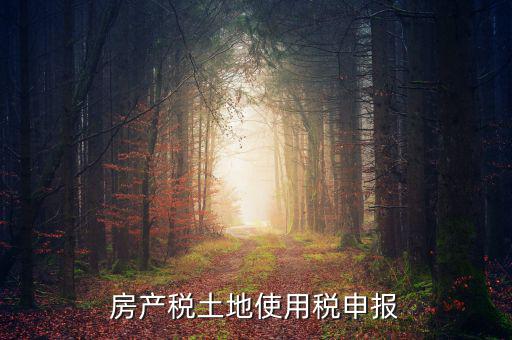 金稅三期如何申報(bào)土地使用稅，房產(chǎn)稅土地使用稅申報(bào)