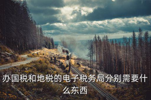 如何開通地稅電子稅務(wù)局，辦國稅和地稅的電子稅務(wù)局分別需要什么東西