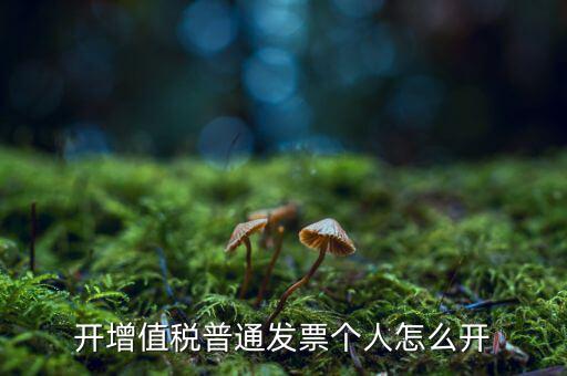 普票如何開給個(gè)人，增值稅普通發(fā)票開個(gè)人需要什么資料