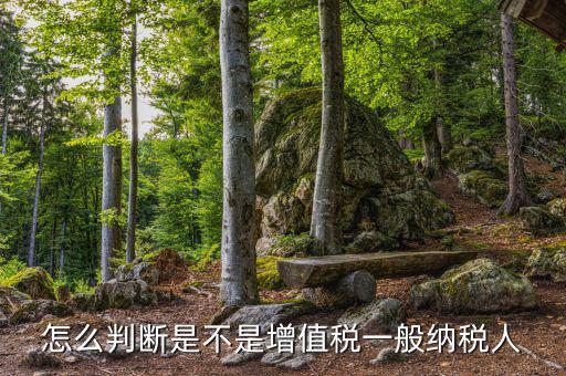 如何查詢?cè)鲋刀愐话慵{稅人，查看是否為增值稅一般納稅人
