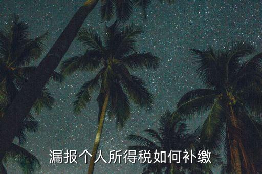 安徽省個稅如何補(bǔ)充申報，漏報個人所得稅如何補(bǔ)繳
