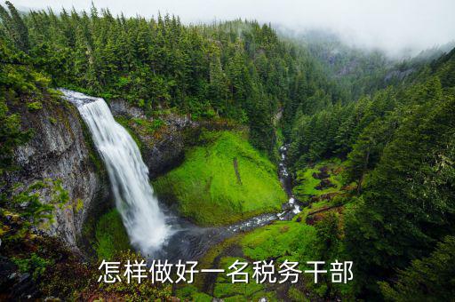如何做新時(shí)代優(yōu)秀稅務(wù)干部，新時(shí)代稅務(wù)干部需要什么樣的奮斗精神