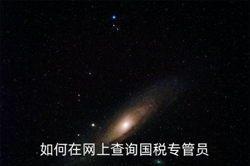 如何在網(wǎng)上查詢國(guó)稅專(zhuān)管員