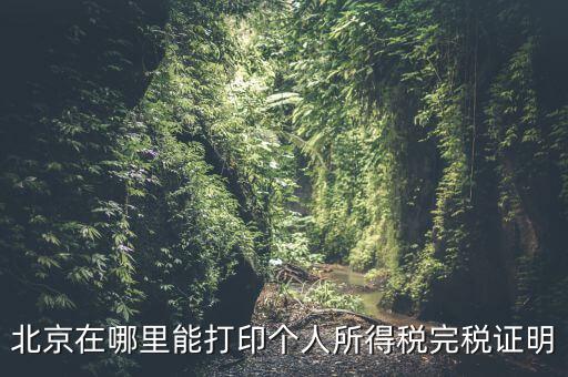 北京如何打個稅證明，北京買房 如何開個稅證明