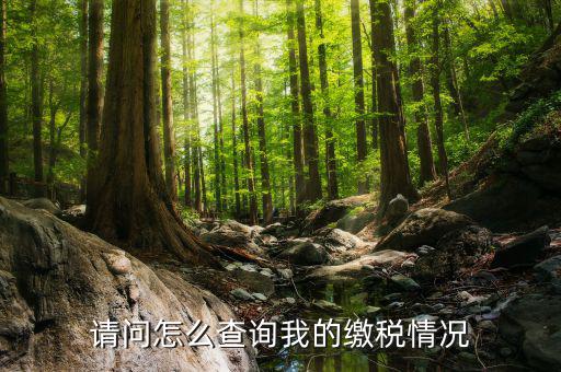 繳納稅款如何查詢，請問怎么查詢我的繳稅情況