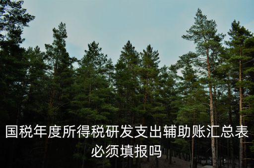 研發(fā)支出輔助賬匯總表該如何填寫，什么企業(yè)需要填 研發(fā)支出輔助賬匯總表