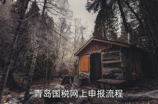 青島國地稅如何申報，國稅怎么申報
