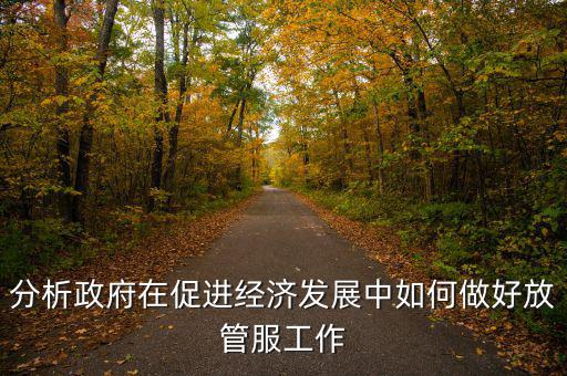 如何做好國(guó)稅系統(tǒng)的放管服工作，分析政府在促進(jìn)經(jīng)濟(jì)發(fā)展中如何做好放管服工作