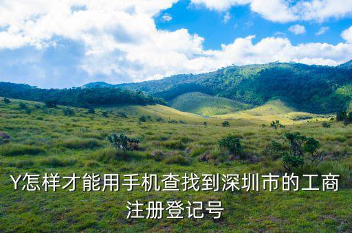 Y怎樣才能用手機(jī)查找到深圳市的工商注冊登記號(hào)