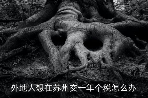 蘇州如何補繳個稅，外地人想在蘇州交一年個稅怎么辦