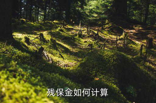 2016年杭州殘疾人保障金如何計算方法，殘疾人保障金計算方式