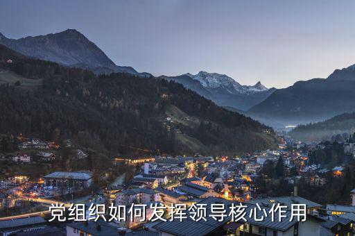 如何發(fā)揮稅務(wù)聯(lián)合黨組核心領(lǐng)導(dǎo)作用，黨組織如何發(fā)揮領(lǐng)導(dǎo)核心作用