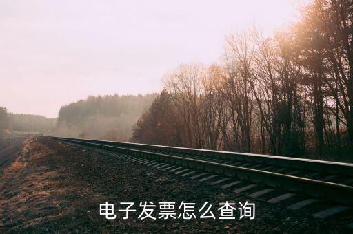 如何在電子稅務局查詢發(fā)票，開票信息在哪里查詢