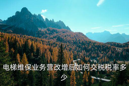 維保電梯如何納稅，麻煩問(wèn)一下電梯維護(hù)與保養(yǎng)納什么稅稅率是多少 如果我公司銷售