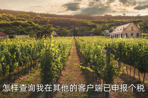 如何查詢之前申報扣繳過的個稅，怎樣查詢我在其他的客戶端已申報個稅