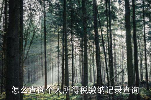 沈陽(yáng)如何查個(gè)人所得稅繳費(fèi)明細(xì)，如何查詢(xún)個(gè)人所得稅申報(bào)明細(xì)情況