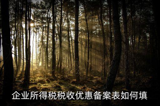 如何填寫(xiě)企業(yè)所得稅優(yōu)惠事項(xiàng)備案表，企業(yè)所得稅減免稅備案表填寫(xiě)