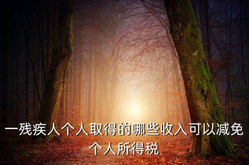 殘疾人減免個(gè)稅如何做賬，有殘疾人免稅證明在個(gè)人所得稅申報(bào)系統(tǒng)中如何填寫急