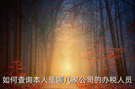 如何查詢企業(yè)辦稅人信息，怎么查詢單位登記稅務(wù)經(jīng)辦人