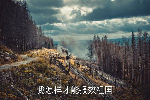 開的稅如何報效，報效祖國最好的辦法是什么