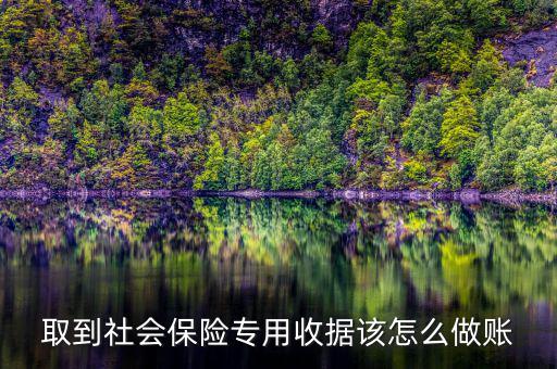 取到社會(huì)保險(xiǎn)專(zhuān)用收據(jù)該怎么做賬