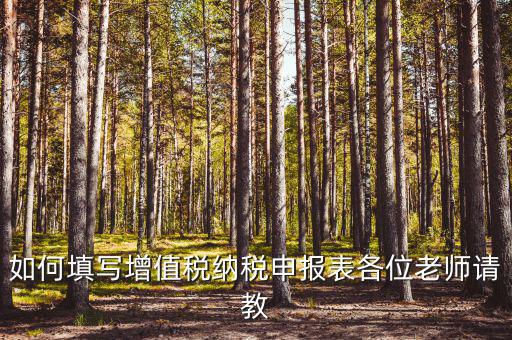 增值稅納稅申報(bào)表如何填報(bào)，增值稅申報(bào)表如何填寫