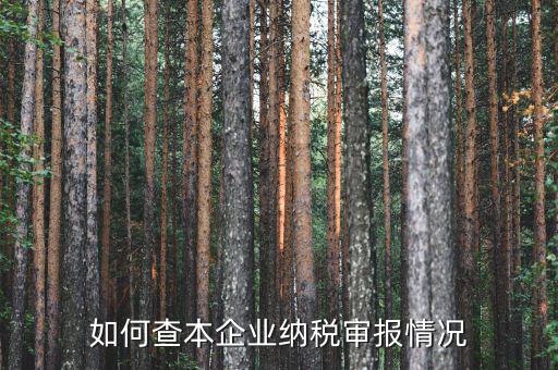 如何查詢公司納稅情況，如何查本企業(yè)納稅審報情況