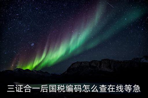 個(gè)人稅務(wù)編號(hào)如何查，請(qǐng)問在哪里可以查到納稅人編碼
