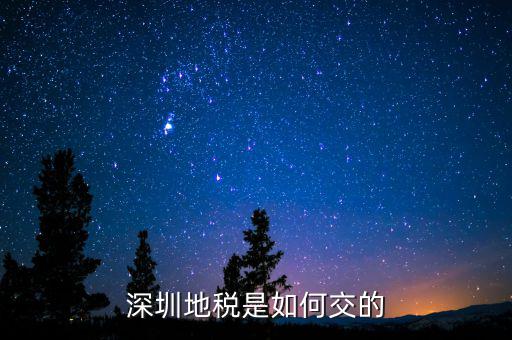 深圳市國家稅務(wù)局如何交稅，深圳市公司網(wǎng)上報國稅要這么操作啊
