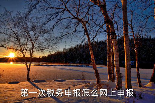 新網稅務如何申報，如何網上稅務申報