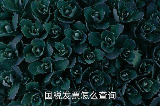 深圳市國稅局郵寄發(fā)票如何查詢，國稅發(fā)票怎么查詢