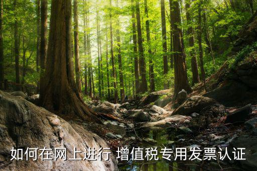 增值稅專用票如何在網(wǎng)上申請(qǐng)，購買增值稅專用發(fā)票要先在網(wǎng)上怎么操作
