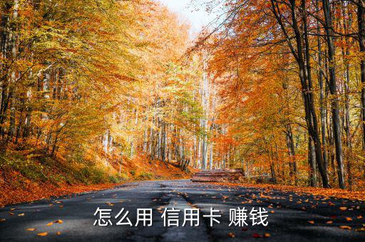 怎么玩信用卡賺錢(qián),信用卡怎么用?商家賺商家錢(qián)不用卡費(fèi)