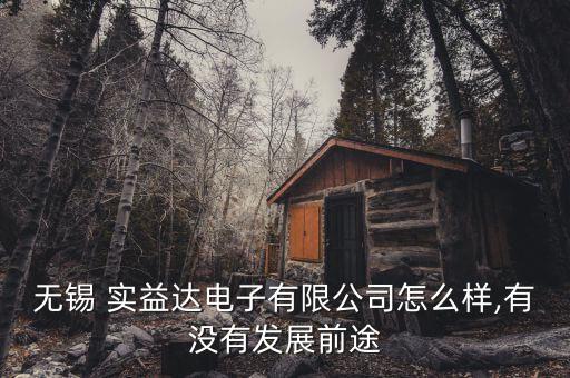無錫 實益達(dá)電子有限公司怎么樣,有沒有發(fā)展前途