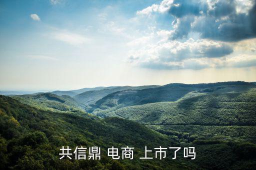 電商怎么上市,南極電商在納斯達(dá)克上市騰訊、慧聰網(wǎng)香港上市