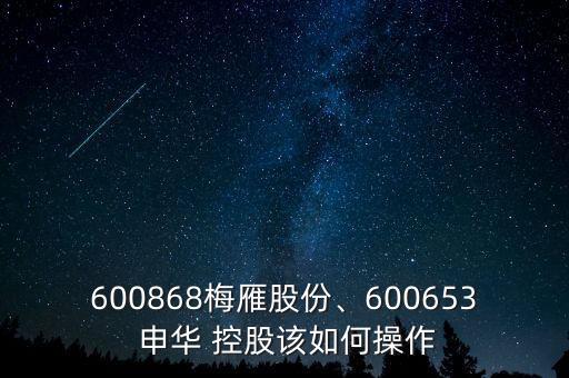 600868梅雁股份、600653 申華 控股該如何操作