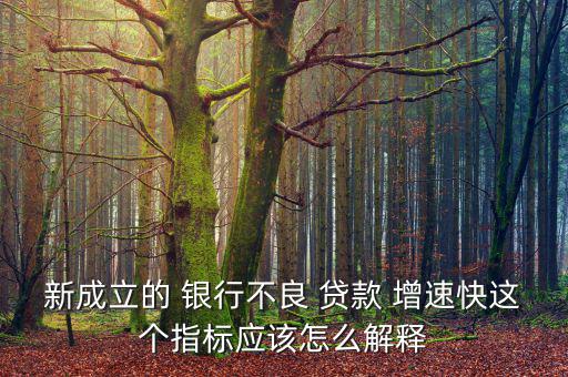 新成立的 銀行不良 貸款 增速快這個指標應(yīng)該怎么解釋