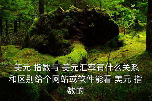  美元 指數(shù)與 美元匯率有什么關系和區(qū)別給個網(wǎng)站或軟件能看 美元 指數(shù)的