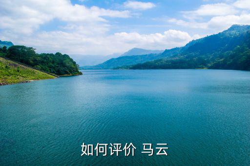 如何評價(jià) 馬云