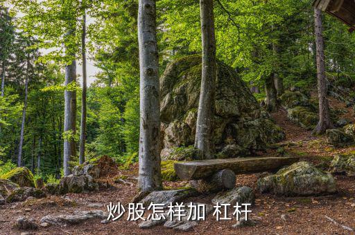 杠桿炒股怎么操作,杠桿只有適合自己才能開(kāi)拓新領(lǐng)域