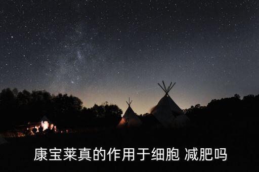 康寶萊減肥怎么提成,一見(jiàn)過(guò)就知道!減肥不是運(yùn)動(dòng)，是心理問(wèn)題