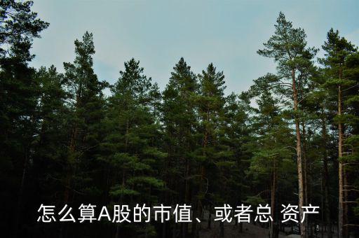怎么算A股的市值、或者總 資產(chǎn)