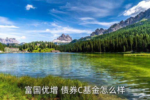 嘉實債券怎么樣,短債基金包括諾安債券、友邦短債、嘉實超短債