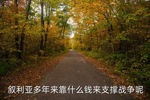  敘利亞多年來(lái)靠什么錢(qián)來(lái)支撐戰(zhàn)爭(zhēng)呢