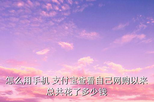怎么用手機(jī) 支付寶查看自己網(wǎng)購(gòu)以來總共花了多少錢